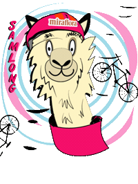 Cbd Alpaca Sticker by Miraflora.co