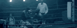 Celebrate Hell Yeah GIF by TIFF