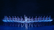 Swanlake GIF by English National Ballet