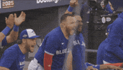 Celebrate Lets Go GIF by Toronto Blue Jays