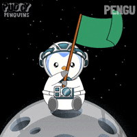 To The Moon Space GIF by Pudgy Penguins