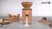 GIF by MIOBIO CHILE