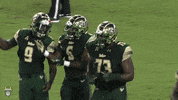 South Florida Football Usf GIF by SoFloBulls