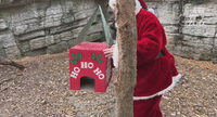 Santa Visits Friends at the Cincinnati Zoo