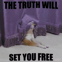 Best Wishes Dog GIF by PEEKASSO