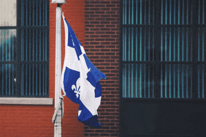 Flag Wind GIF