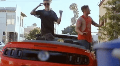 viceland GIF by TWIZ & TUCK