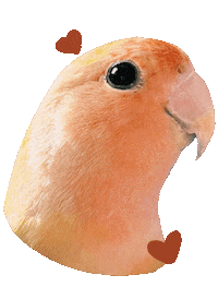 ClaudiaRamEsc simba lovebird clauramesc Sticker