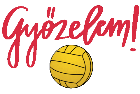 dvsevizilabda giphyupload magyar waterpolo együtt Sticker