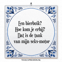 Humor Nl GIF by Tegelspreuken.nl