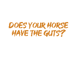 proearthanimalhealth horses feed guts equine Sticker