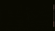 Slide Ca GIF by Chase Atlantic