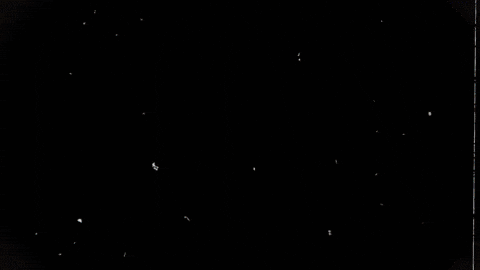 Beer Canada GIF by russell_beer