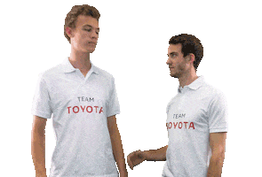 beach job Sticker by Team Toyota Deutschland