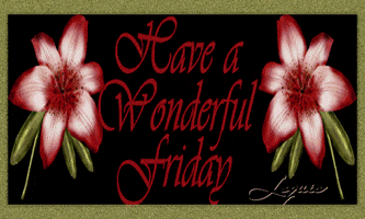 friday GIF