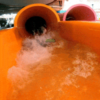 Vacation Nevermind GIF by Royal Caribbean