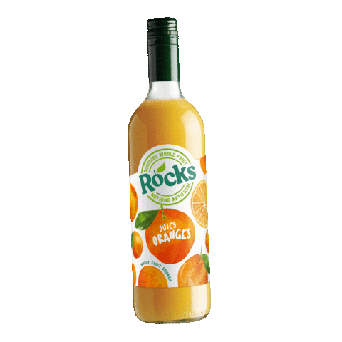 ShloerBGRocks giphyupload orange squash realfruitsquash Sticker