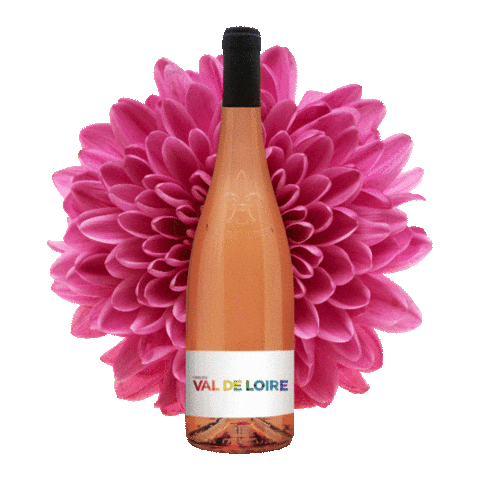 VinsValdeLoire wine rose rose wine loire Sticker