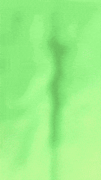 Frog GIF by Youtooz
