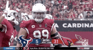Arizona Cardinals Football GIF by NFL