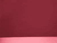 dog puppy GIF by Tuna the Pom