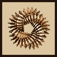 geometry wood GIF by xponentialdesign