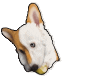 Dogs Love Sticker