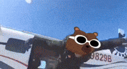 Bitcoin Invest GIF by Bobo Memes
