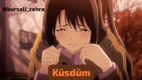 Bursalizehra GIF
