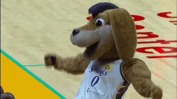 Los Angeles Sparks GIF by The Official Page of the Los Angeles Sparks