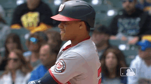 Washington Nationals Sport GIF by MLB