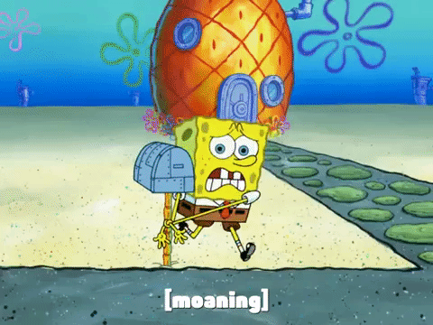 season 7 GIF by SpongeBob SquarePants