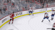 Ice Hockey Sport GIF by NHL