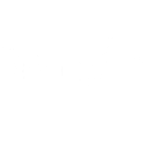 Engadinwind giphyupload surfing positivevibes windsurfing Sticker