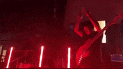 centraltalent trendline GIF