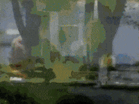 Tampa Bay Vintage GIF by MANGOTEETH