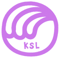 Waves Ksl Sticker by Korea Surf League