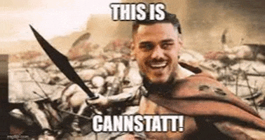 vertikalpass giphygifmaker GIF