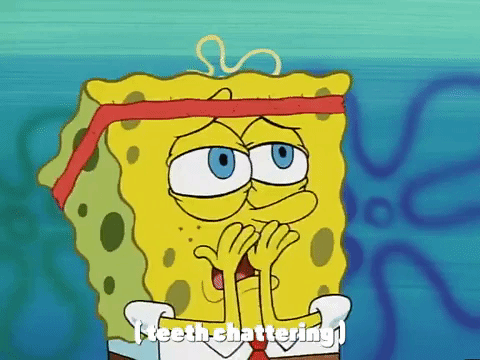 season 2 prehibernation week GIF by SpongeBob SquarePants