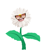 Ccsummer Sticker by Comedy Central NL