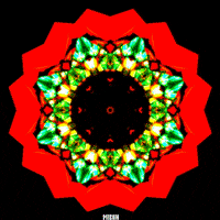 Loop Kaleidoscope GIF by Miron