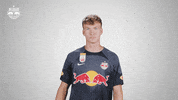 Football Sport GIF by FC Red Bull Salzburg