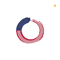 Loop Usa Sticker by EnsolarUSA