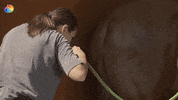 discoveryplusit discovery discoveryplus discoveryplusit elettra GIF