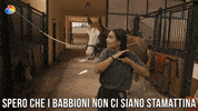discoveryplusit discovery discoveryplus discoveryplusit elettra GIF