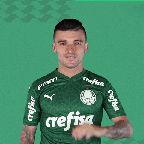 Puma Victor GIF by SE Palmeiras