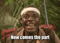 restaurant salad GIF