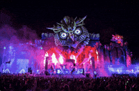 music festival GIF by Insomniac Events