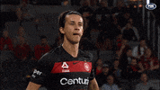 Throw In Western Sydney Wanderers GIF by wswanderersfc