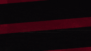 Western Sydney Wanderers Laughing GIF by wswanderersfc